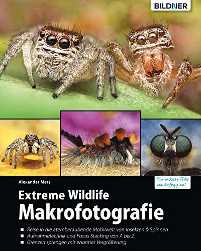 Extreme Wildlife-Makrofotografie: Eine Reise in die atemberaubende Welt von Insekten & Spinnen