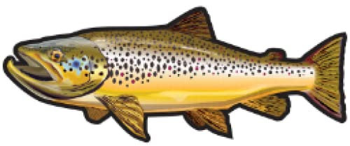 2Pcs Bachforelle Aufkleber Auto Stoßstange Aufkleber Forelle Angeln Auto Aufkleber Angeln Kunst Wasserdicht Auto Styling 13X5.1CM Laptop Koffer LKW Zubehör Auto Aufkleber