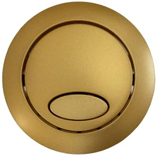 Fluidmaster Dual Flush Push Button for Cable Operated Cistern & PRO550 Brushed Brass