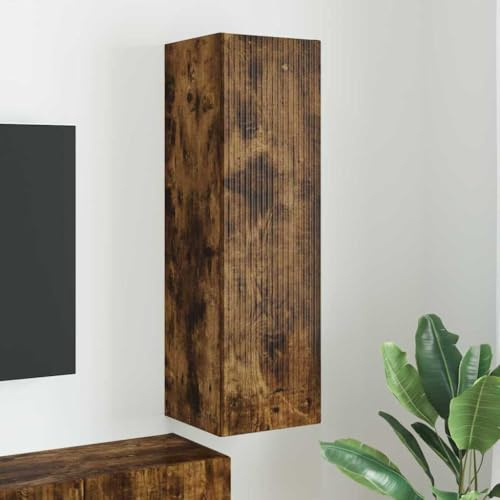 Tonture Meuble TV Mural chêne fumé en Bois d'ingénierie 30 x 31 x 100 cm avec Porte pivotante et étagères, Rangement Moderne pour Salon séjour Design scandinave Industriel