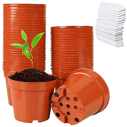 LATERN 60 Pezzi Vasi da Fiori in Plastica, 7,5CM Vasi da Vivaio Piccolo Contenitore per Fiori Vasi per Piantine con Drenaggio Fori per Trapianto di Ortaggi Frutto Succulenti - con 100 Piante Etichette