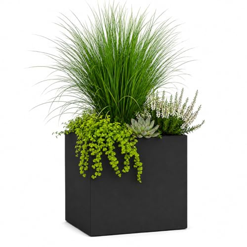 Pflanzwerk® Pflanzkübel Fiberglas Cube XXL ANTHRAZIT 65x80x80cm 2 Jahre GARANTIE *Frostsicherer Blumenkübel* *Deutsche Premiumqualität* *Lotus-Effekt Imprägnierung*