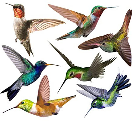 HOMSFOU 7stücke Vogel Wandaufkleber Selbstklebende Dekorative Wand Vogel Aufkleber Naturgetreues Design Langlebiges Material Fenster Aufkleber Ohne Ausschneiden