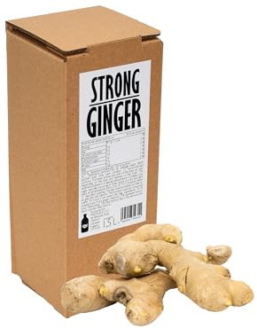 PRESSUICE Fresh Ginger Juice 100% Cold-Pressed NFC 1,5 l | Bag-in-Box with Tap, Distinctive Flavour, Not From Concentrate, Naturally Cloudy, No Added Sugar, No Additives, Vegan