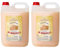 Familycom Pack 2 Detergente Lavadora Liquido Profesional Marsella Color , Tradicional, 5 Litros (Marsella) 2 Unidades (Marsella)