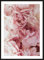 HUBDECO Bild Wanddekoration Poster - Hochwertiges Poster gedruckt auf 200g/m2 Posterpapier - Tolle Zimmerdekoration - Schlafzimmer Bilder - Ohne Ramen - 70x50cm - Zarte Pfingstrosen