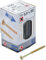 BGS Diy 88009 | Vis multifonctions | profil en T (pour Torx) T25 | 5,0 x 80 mm | 50 pièces