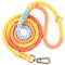 NUGUTIC Laisse pour chien en corde de coton tressée à la main pour chiens de petite, moyenne et grande taille, fermoir en métal doré robuste, arc-en-ciel coloré, 1,5 m