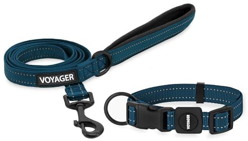 Voyager Reflektierendes Hundehalsband-Set mit Neopren-Griff, unterstützt kleine, mittelgroße und große Rassenwelpen, niedlich und robust zum Spazierengehen, Laufen und Training, Blau, M
