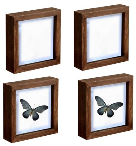 4 Stück Insekten Vitrine,Vintage Insekten Spezimen Displaybox aus Holz Aufbewahrungsbox Für Insektenproben Mit Transparenter Oberseite, für Schmetterlinge und Trockenblumen Perfekter Sammler,13,1x13,1