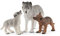 Schleich Maman Loup avec louveteaux