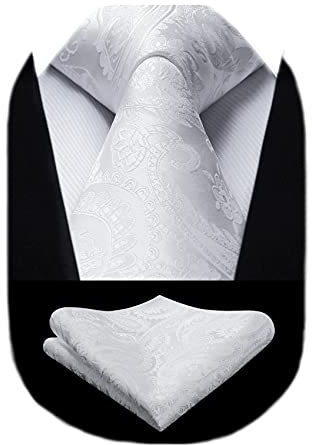 HISDERN Herren Einfarbige Krawatte Paisley Blumen Hochzeit Krawatten & Einstecktuch Set fur Herren (Weiß)