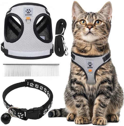 CUEMOON Pettorina e Guinzaglio per Cani, Pettorina Traspiranti Regolabili, Pettorina Riflettente per Cuccioli, Set di imbracatura e guinzaglio per cuccioli, gatti e gattini,M (Grigio, M)