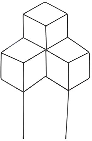 ZHDOKA Metall-Pflanzenspalier für Topfpflanzen, Schwarzer Metalldraht, Gartenspalier, Pflanzenstütze, Pfahl, Kletterranken, Stielhalter, Gestell für Weinrebe, Efeu, Blumenpflanzenstütze