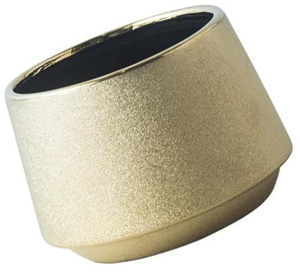 TOPBATHY 1 Pc Cache-Pot en céramique plaqué Or Pots de Plantes Modernes d'intérieur Pots de Fleurs pour Plantes d'intérieur Pot de Fleur Interieur jardinière en céramique Pot à bonsaï doré