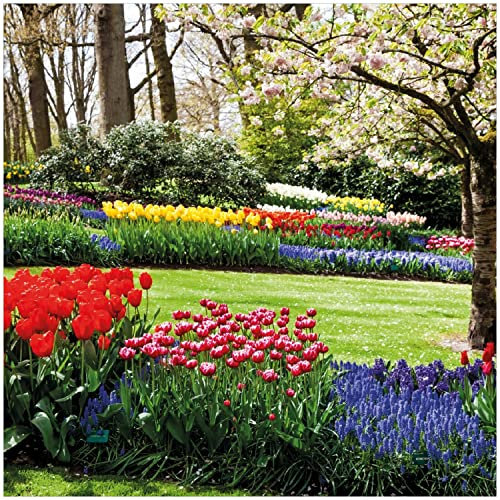 Wallario Glasbild Bunte Blumen und Kirsch-Baum im Park blühen im Frühling - 30 x 30 cm Wandbilder Glas in Premium-Qualität: Brillante Farben, freischwebende Optik