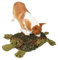 Emmi-pet Schnüffelteppich Schildkröte - Intelligenzspielzeug für Hunde 52x71cm | Geruchstraining & Belltraining | langsames Fressen | maschinenwaschbar | freundliches & weiches Material