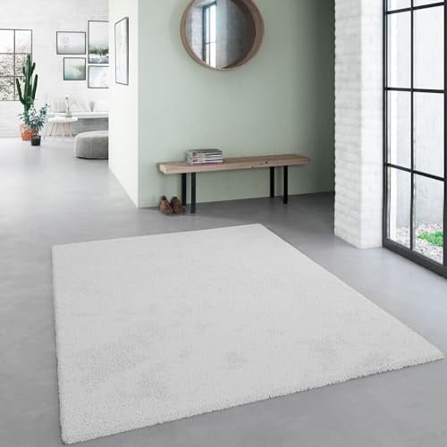 Steffensmeier Hochflor Teppich Sevilla | Shaggy | langflor Teppich | Wohnzimmer | Hellgrau, Größe: 160x230 cm