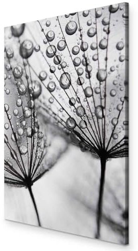 murando - Akustikbild Pusteblume Bilder Akustikschaum Hochleistungsschallabsorber Schallschutz Leinwand 1 TLG Wandbild Natur grau b-B-0353-b-a