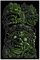 artboxONE Poster 150x100 cm Städte/Shanghai Maya-Statue - Bild Maya-Kultur dämon eingeborene