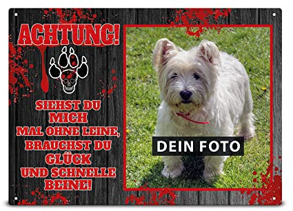 Wetterfestes Vorsicht Hund Schild mit Foto - Ohne Leine, Glück und schnelle Beine - Hundeschild selbst gestalten mit Bild, Geschenk für Hundebesitzer | Metallschild, 21x15 cm