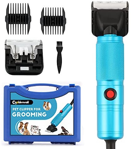 CGOLDENWALL Tosatrice per Cani 280W, Controllo Velocità Vontinua 2000-6000RPM, Cavo da 3 m, Rumorosità 50DB, per Animali di Tutti i Tipi di Pelo, Con 2 Lame& 2 Pettini di Fissaggio (3/6 mm, 9/12 mm)