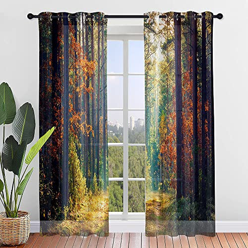 Hiseng Voile Vorhänge mit Ösen Durchsichtig Halbtransparent Ösenvorhang für Fenster Wohnzimmer Schlafzimmer Wald Druck Moderne Elegante Transparent Gardine 2er Set (140x275cm,Herbst Baum)