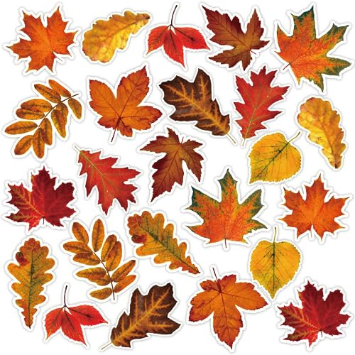 Whaline 24Pcs Fall Maple Leaf Reflective Car Magnets Colorful Autumn Leaves Magnetic Stickers Thanksgiving Car Refrigerator Magnet Decor for Mailbox Metal Door Kitchen (Not for Aluminum Alloy Vehicle)
