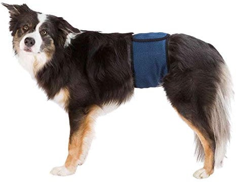 TRIXIE Bauchband für männliche Hunde, XL: 65-75 cm