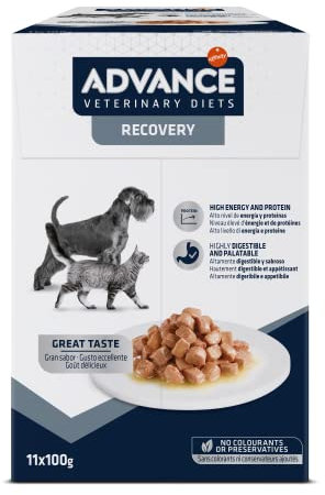 Advance Veterinary Diets Recovery Cibo Umido per Cani e Gatti: Multipack 11 bustine da 100g
