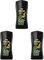 Axe Duschgel Wild Mojito & Cedarwood für langanhaltende Frische und Duft nach der Dusche dermatologisch getestet 250 ml 1 Stück (Packung mit 3)