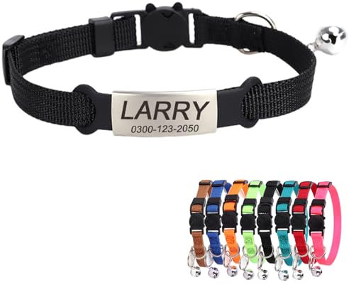 Collier de Chat Chaton Homme Femme Gravure Personnalisé avec Nom Numéro de Téléphone Boucle de Securite Anti Étranglement Étiquette Identification Clochette