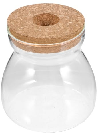 STOBAZA Vase Terrarium Verre pour Plantes avec Couvercle Percé et Récipient Transparent pour Décoration Intérieure
