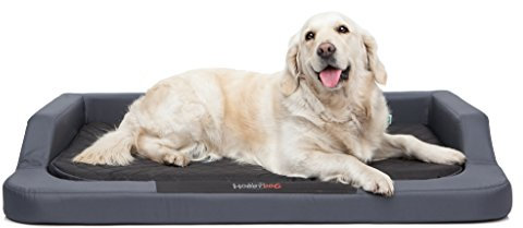 Hobbydog Hundebett Medico Lux xxl - 120 x 80 cm Grau -Schwarz mit Ortopädische Viscomatte Bett Ruheplatz Schlafplatz Hundebett Hundesofa Kunstleder Orthopädisch