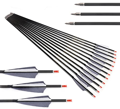 ACCMOS Spine 300 350 400 500 600 700 800 ID 6,2 mm Jagdpfeil Graue Feder Carbon Pfeile für Recurve Bogen Compound Bögen Bogenschießen 12Stück