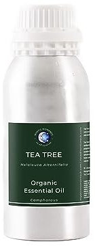 Mystic Moments Huile essentielle d'arbre à thé bio – 1 kg – 100% Pure
