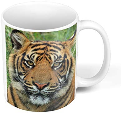 Fabulous Mug Céramique Gros Plan Tete de Tigre de Face Vie Sauvage