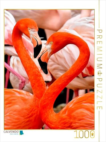 CALVENDO Puzzle Flamingo | 1000 Teile Lege-Größe 48 x 64 cm Foto-Puzzle für glückliche Stunden