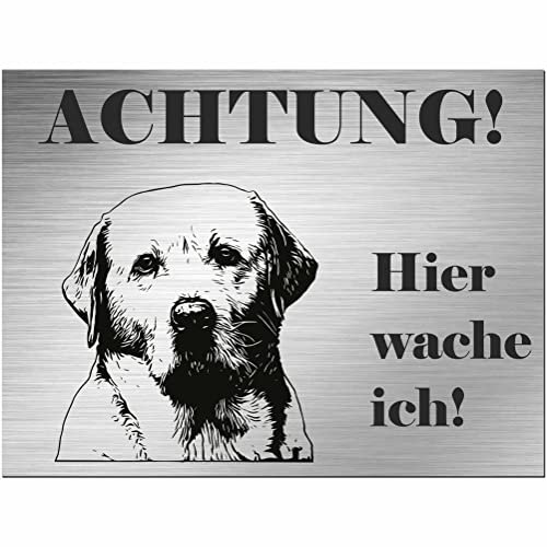 Indigos UG - Schild Labrador - bedruckt - Achtung Hier wache ich! - Aluverbundplatte Edelstahl Look - 20x15 cm - Spruch - Deko Geschenkidee für Ihren Hund - Zaun - Türschild - Hinweisschild