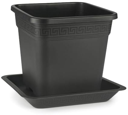 Easy Act Topf viereckig 30L (36 x 36 x 36cm) mit Untersetzer | Pflanztopf, Blumentopf, Pflanzkübel, Vierkant-Topf, Anzucht, Pflanzgefäß Anzuchttopf Auffangschale