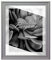 BIRAPA Bergamo Bilderrahmen Beton- Optik - Bilder Rahmen 100x150cm - Fotorahmen Glas antireflex Plexiglasscheibe - Wanddeko Fotowand Fotogeschenke