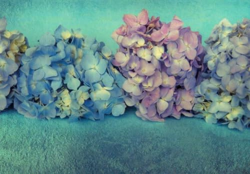 Tushita Blankopostkarte: Vintage Hortensien in Grün, Blau & Lila – Naturfotografie für Sammler und Dekorationsliebhaber