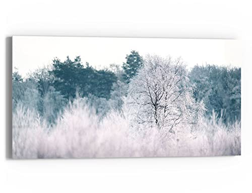 DEQORI Glasbild Echtglas | Motiv Eisiger Morgen im Wald | horizontal einteilig 60x30 cm | schöne Dekoration | Wandbild für Wohnzimmer, Schlafzimmer, Flur & Küche | moderne Wanddeko