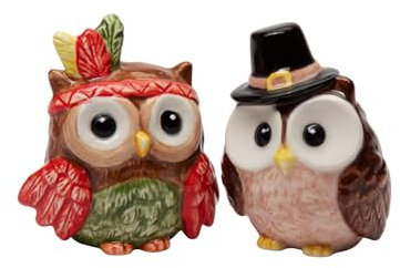 Cosmos Gifts 21061 Ceramic Indian & Pilgrim Owl Salt and Pepper Shakers
