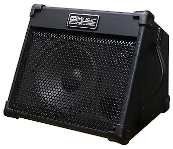 Coolmusic 40W Portable Acoustic Guitar Amplifier(Amp) with Bluetooth, 3-Year Warranty, Built-in Reverb & EQ