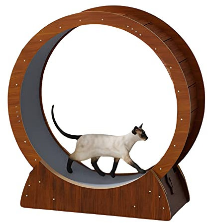 Großes Katzenlaufrad, Laufrad Für Katzenspielzeug Für Den Innenbereich Mit Anti-Einklemm-Design, Süßes Braunes Katzenrad Aus Holz Für Alle Katzen,Brown-80x30x88cm