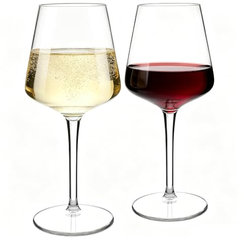 CIYIN Calici Plastica Rigida Lavabili, 2 Pezzi Calici Vino Plastica 445ml, Bicchieri Plastica Rigida Lavabili, in Tritan, BPA-Free, Bicchieri Vino Rosso, Vino Bianco