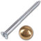 10x Brass Domed Cap Mirror Screws - 8mm x 2