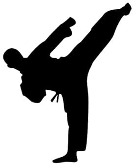 Taekwondo Aufkleber Kämpfer MMA Karate Sport Judo Japan Fighting Kampf 15x12cm in 21 Farben