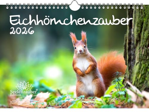 Eichhörnchenzauber DIN A4 Kalender für 2026 Eichhörnchen - Seelenzauber
